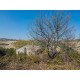 Properties for Sale_FARMHOUSE FOR SALE IN LAPEDONA IN THE MARCHE REGION,this beautiful farmhouse is to be restored in Le Marche_5